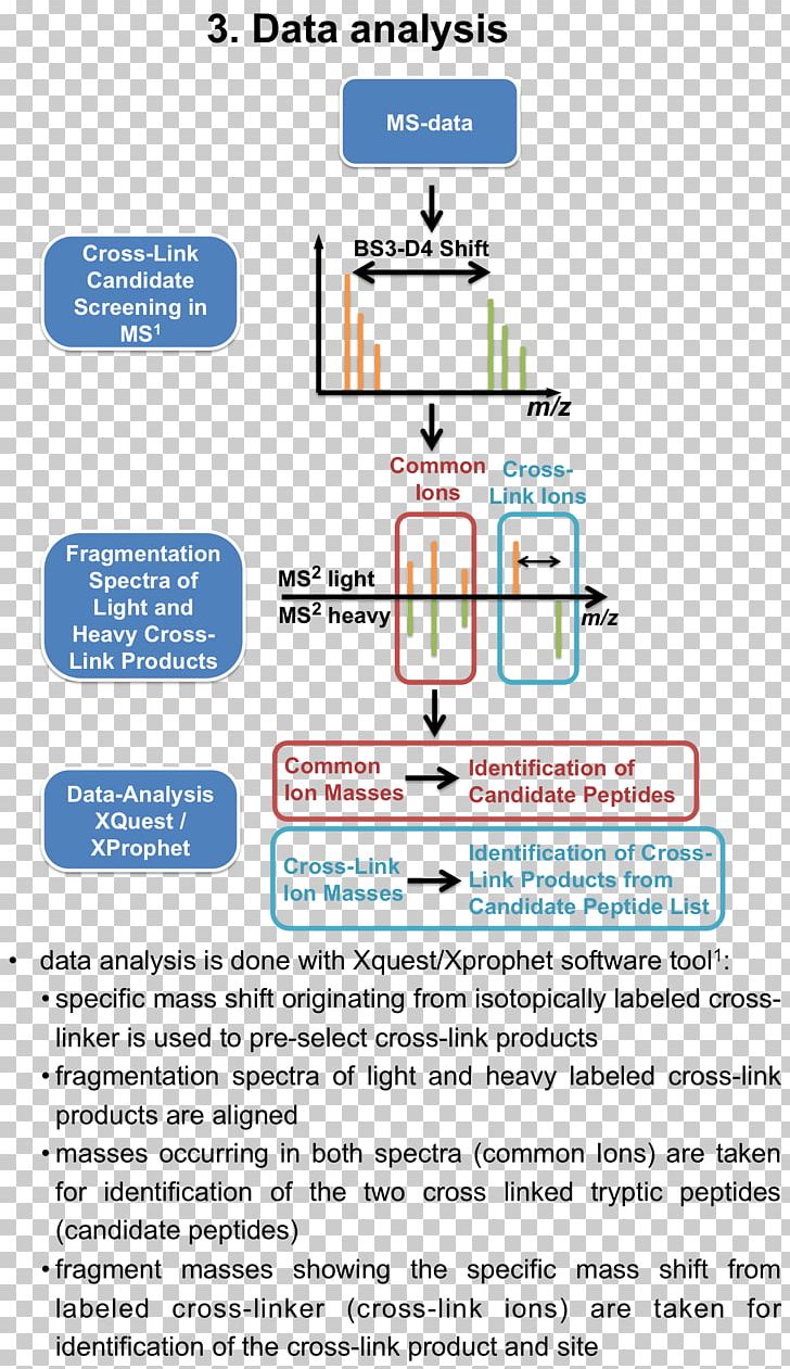 Mass Spectrometry Cross-link Immunoprecipitation Zentrum Fuer Molekulare Biologie PNG, Clipart, Affinity Chromatography, Area, Crosslink, Diagram, Immunoprecipitation Free PNG Download