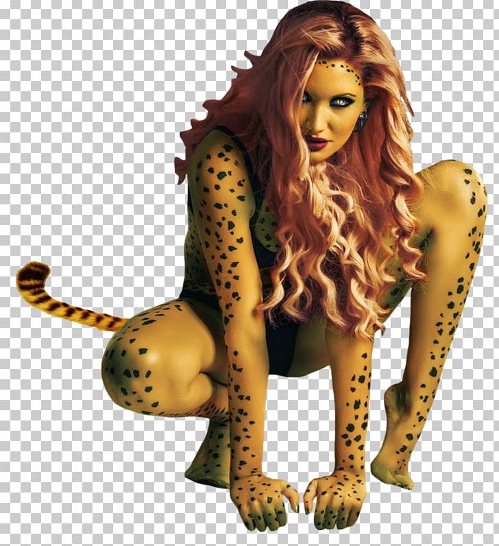 The Flash Cheetah Batgirl Batman & Robin PNG, Clipart, Amp, Animals, Art, Batgirl, Batman Free PNG Download