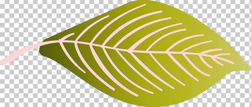 Autumn Leaf Colourful Foliage Colorful Leaves PNG, Clipart, Autumn Leaf, Autumn Leaf Color, Biology, Color, Colorful Leaf Free PNG Download