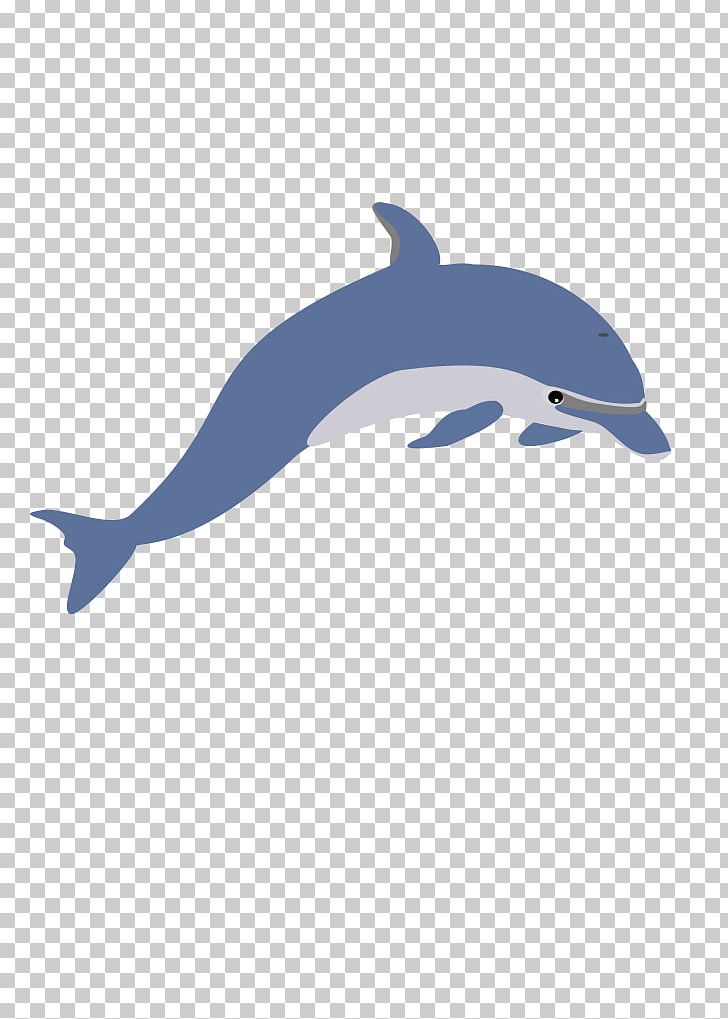 Dolphin Computer Icons PNG, Clipart, Animals, Bottlenose Dolphin, Computer Icons, Desktop Wallpaper, Document Free PNG Download