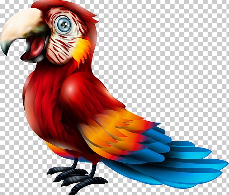 Macaw Parrot Bird Lories And Lorikeets PNG, Clipart, Animals, Art, Beak, Cartoon, Cartoon Bird Free PNG Download