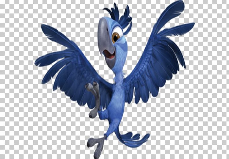 Macaw Rio Film Animation Animated Cartoon PNG, Clipart, Animated Cartoon, Animation, Beak, Bird, Character Free PNG Download