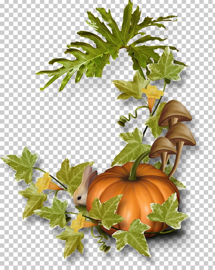 Pumpkin Calabaza Food Gourd PNG, Clipart, Autumn, Bush, Bushes, Calabaza, Coreldraw Free PNG Download