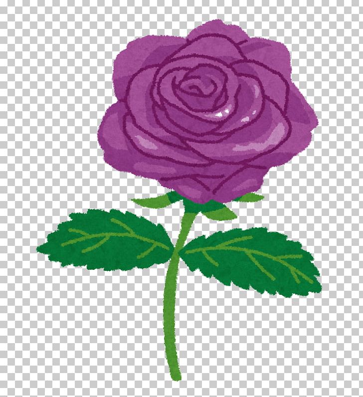 Blue Rose Color Red PNG, Clipart, Blue Rose, Color, Cut Flowers, Flower, Flowering Plant Free PNG Download