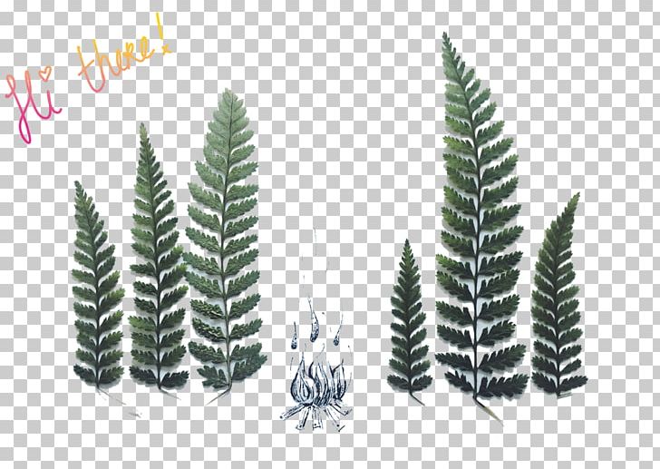 Designer Holland Pine Corporate Identity PNG, Clipart, Art, Corporate Identity, Corporation, Creative Pines, Creativity Free PNG Download