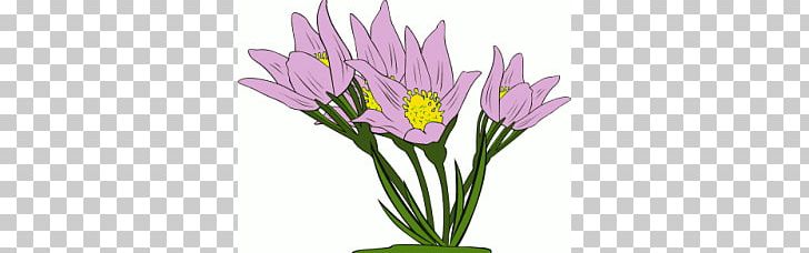 Flower Animation PNG, Clipart, Animation, Aten Cliparts, Crocus, Cut Flowers, Drawing Free PNG Download