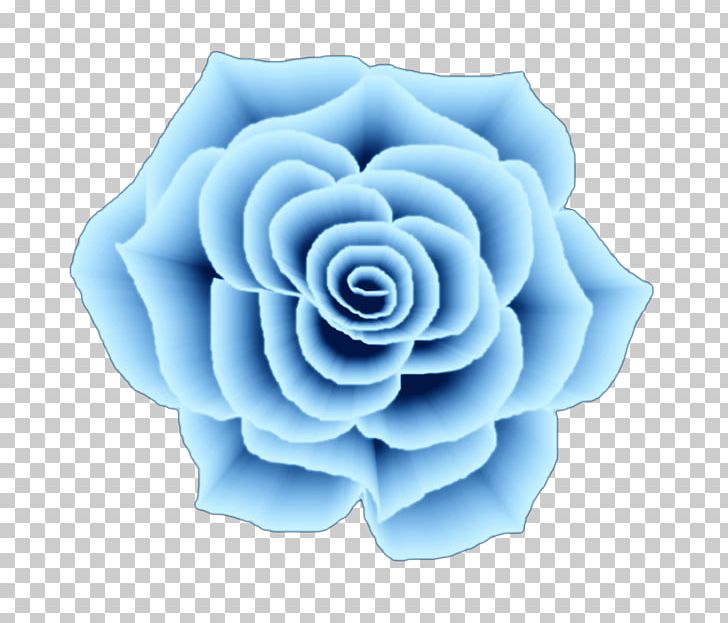 Garden Roses Blue Rose Centifolia Roses Frames PNG, Clipart, Blue, Blue Flower, Blue Rose, Centifolia Roses, Craft Free PNG Download