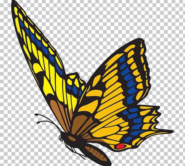 Brush Footed Butterfly Symmetry Royaltyfree PNG, Clipart, Art, Arthropod, Blog, Brush Footed Butterfly, Butterfly Free PNG Download