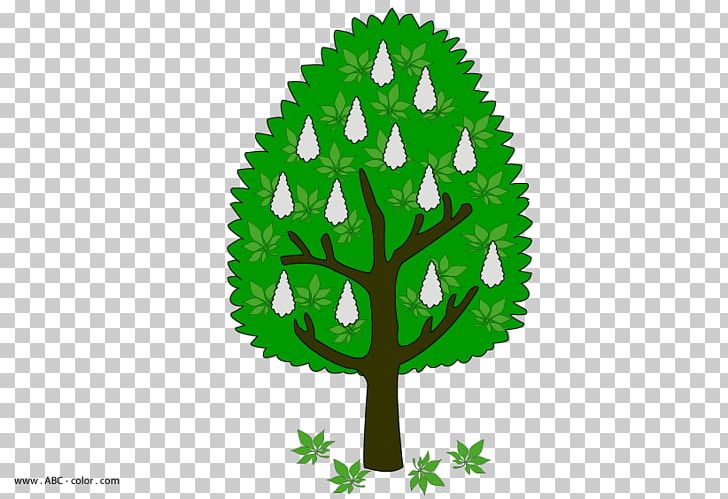 Tree Leaf Plant Stem Font PNG, Clipart, Grass, Green, Leaf, Nature, Organism Free PNG Download