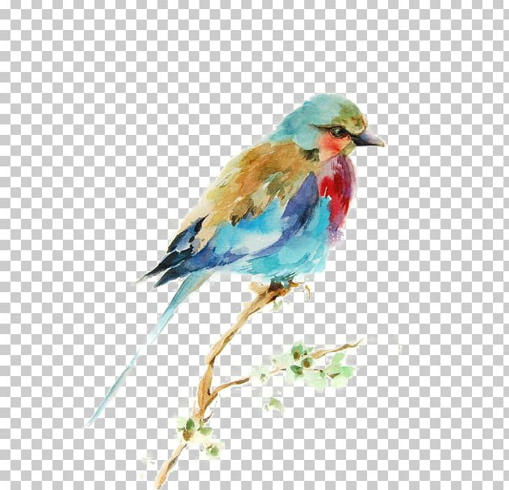 Bird Watercolor Painting Drawing Printmaking PNG, Clipart, Art, Artist, Art Museum, Beak, Bird Illustration Free PNG Download