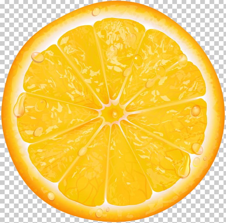 Lemon Tangerine Orange PNG, Clipart, Citric Acid, Citron, Citrus, Drawing, Food Free PNG Download