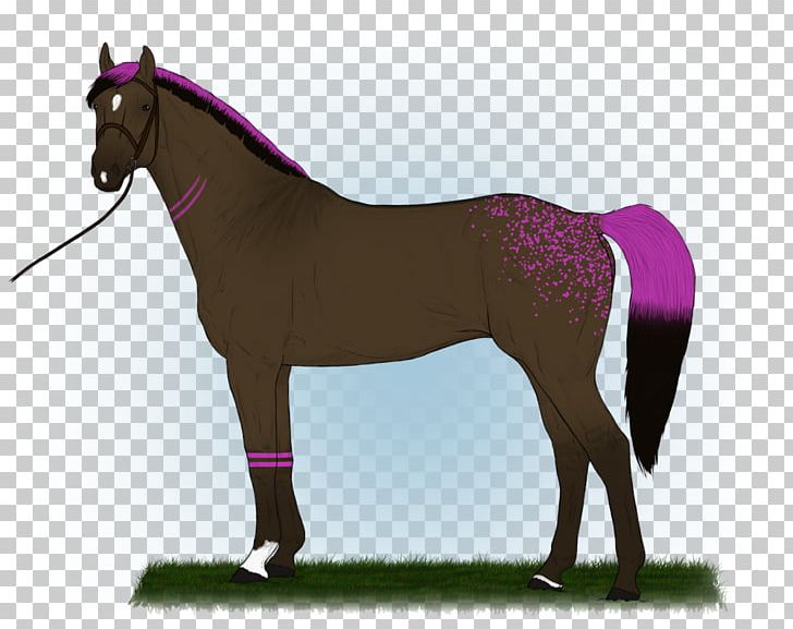 Mane Mustang Stallion Foal Mare PNG, Clipart, Bridle, Colt, Foal, Grass, Halter Free PNG Download