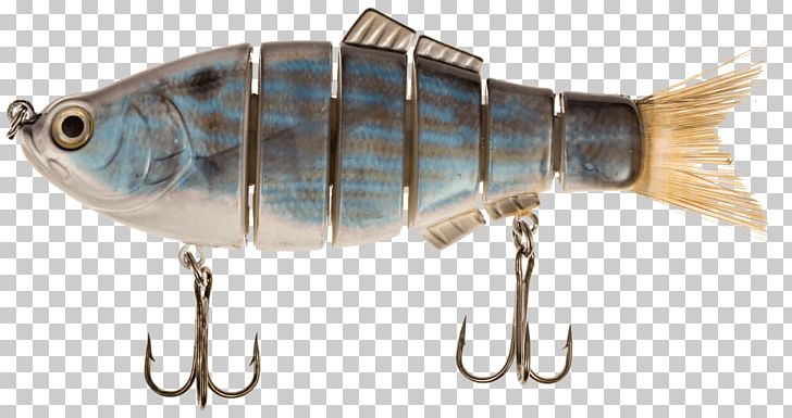 Sardine Spoon Lure Oily Fish Mackerel Perch PNG, Clipart, Ac Power Plugs And Sockets, Bait, Fish, Fishing Bait, Fishing Lure Free PNG Download