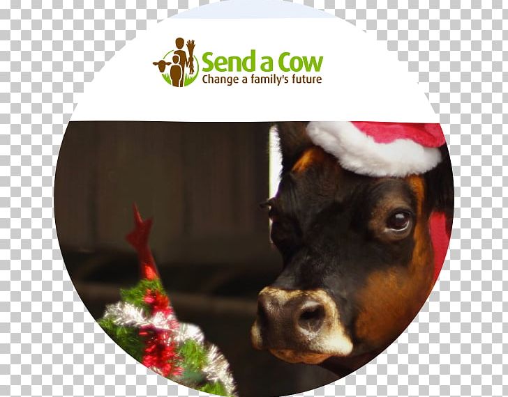 Dog Snout Cattle Christmas Ornament Christmas Day PNG, Clipart, Animals, Cattle, Christmas Day, Christmas Ornament, Creative Cow Free PNG Download