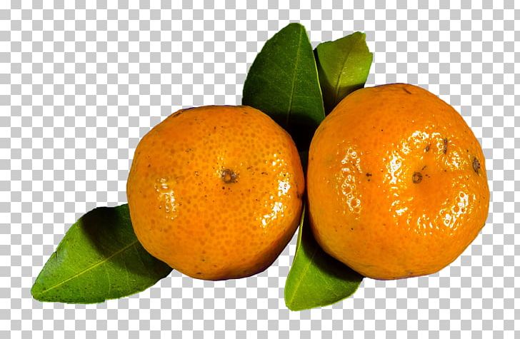 Orange Juice Clementine Blood Orange Mandarin Orange PNG, Clipart, Bitter , Calamondin, Citrus, Food, Fruit Free PNG Download