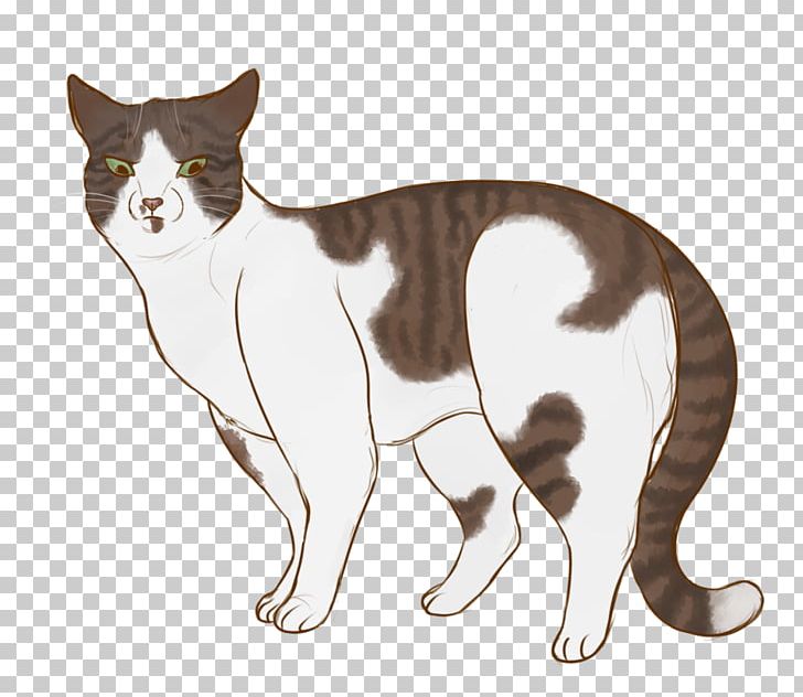Whiskers Manx Cat Kitten Domestic Short-haired Cat Dog PNG, Clipart, Animals, Canidae, Carnivoran, Cat, Cat Like Mammal Free PNG Download