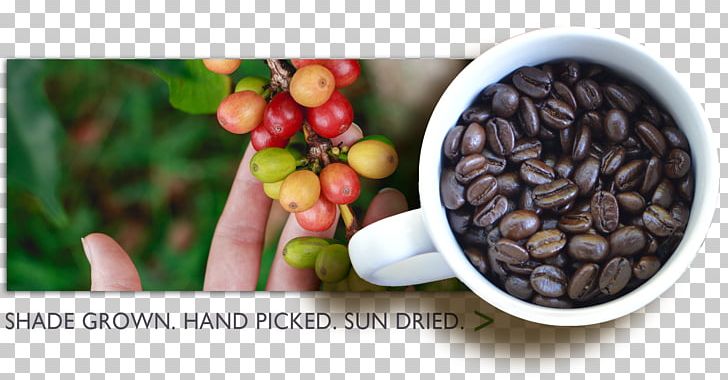Chocolate-covered Coffee Bean Instant Coffee Finca La Despensa Aroma Of The Andes Coffee PNG, Clipart, Andes, Arabica Coffee, Aroma Of The Andes Coffee, Chocolate, Chocolatecovered Coffee Bean Free PNG Download
