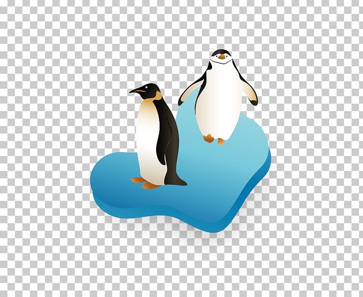 King Penguin Euclidean PNG, Clipart, Adobe Illustrator, Animal, Animals, Bird, Cartoon Penguin Free PNG Download
