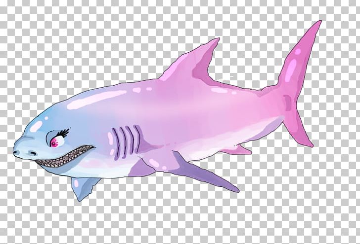Requiem Shark Rainbow Shark Drawing Fin PNG, Clipart, Animal, Animal Figure, Animals, Art, Cartilaginous Fish Free PNG Download