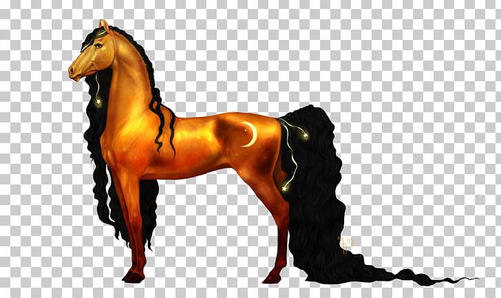 Stallion Mustang Mare Halter Mane PNG, Clipart,  Free PNG Download