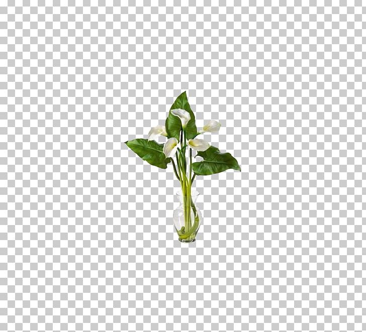 Artificial Flower Arum-lily Floristry Callalily PNG, Clipart, Artificial Flower, Arumlily, Decoration, Floral Design, Flower Free PNG Download