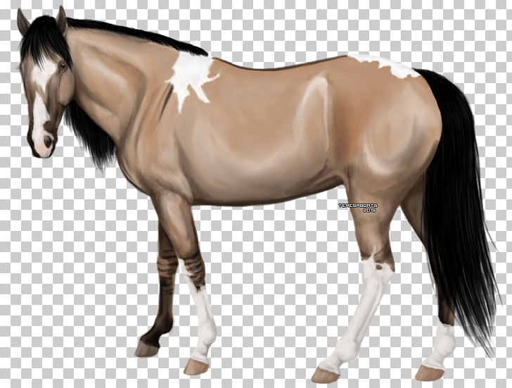 Mustang Stallion Rein Mare Pony PNG, Clipart, Bridle, Dog Harness, Halter, Horse, Horse Harness Free PNG Download
