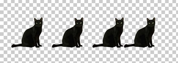 Cat Black Flightless Bird White PNG, Clipart, Animals, Bird, Black, Black And White, Black Cat Free PNG Download