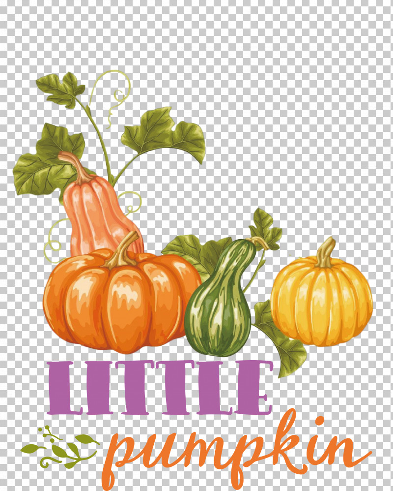 Little Pumpkin Thanksgiving Autumn PNG, Clipart, Autumn, Candy Apple, Field Pumpkin, Jackolantern, Little Pumpkin Free PNG Download