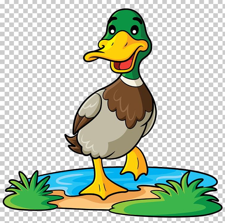 Duck Mallard Cartoon PNG, Clipart, Animal Figure, Animals, Artwork, Beak, Bird Free PNG Download