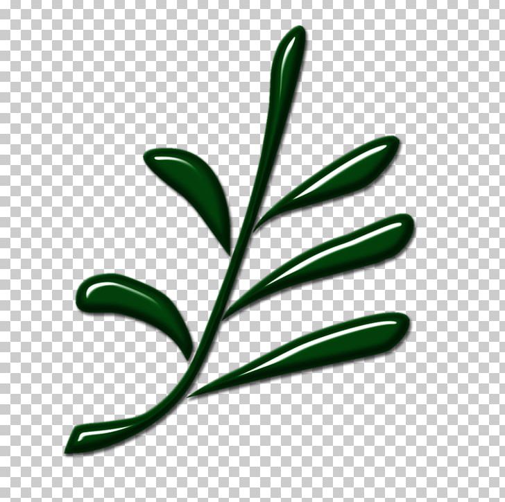 Leaf Biologische Station östliches Ruhrgebiet Plant Stem Petiole Computer Icons PNG, Clipart, Bochum, Computer Icons, Conservation, Flower, Grass Free PNG Download