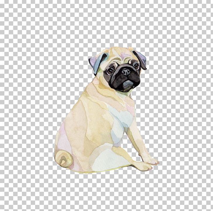 Pug Puppy Watercolor Painting Watercolour Flowers PNG, Clipart, Animals, Brooklyn Ninenine Season 1, Carnivoran, Companion Dog, Dog Free PNG Download