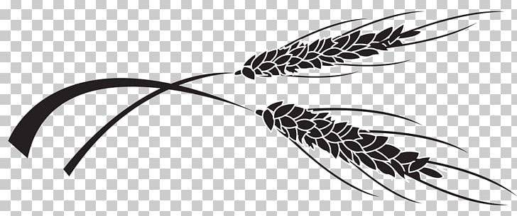 Quill Corp Grasses White PNG, Clipart, Art, Beak, Black And White, Family, Feather Free PNG Download