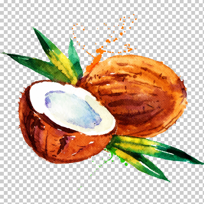 Palm Tree PNG, Clipart, Attalea Speciosa, Coconut, Coconut Water, Drink, Food Free PNG Download