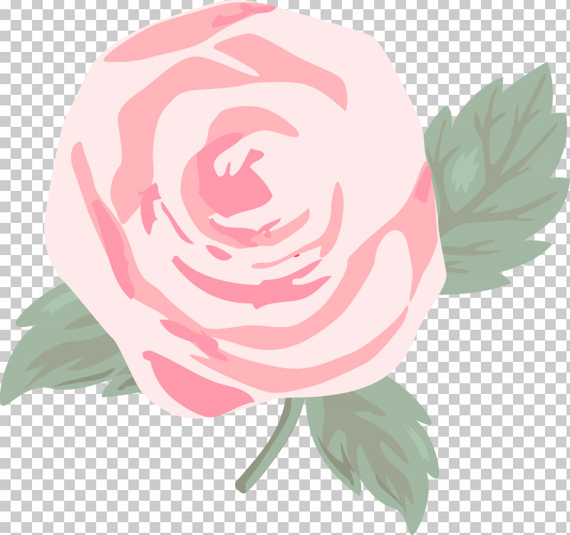 Garden Roses PNG, Clipart, Flower, Garden Roses, Hybrid Tea Rose, Petal, Pink Free PNG Download