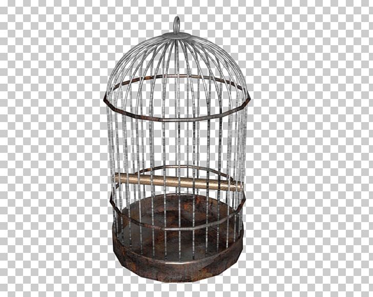 Birdcage Domestic Canary Cockatiel Parrot PNG, Clipart, Animals, Aviary, Bird, Birdcage, Bird Food Free PNG Download