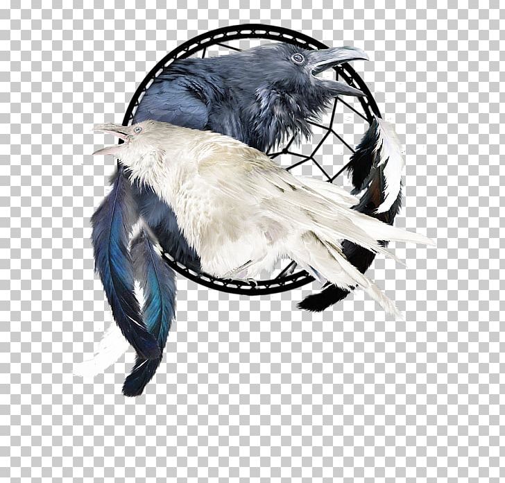 Headgear PNG, Clipart, Beak, Claw, Feather, Headgear, Raven Free PNG Download