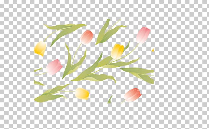 Tulip Flower PNG, Clipart, Adobe Illustrator, Branch, Computer Wallpaper, Download, Encapsulated Postscript Free PNG Download