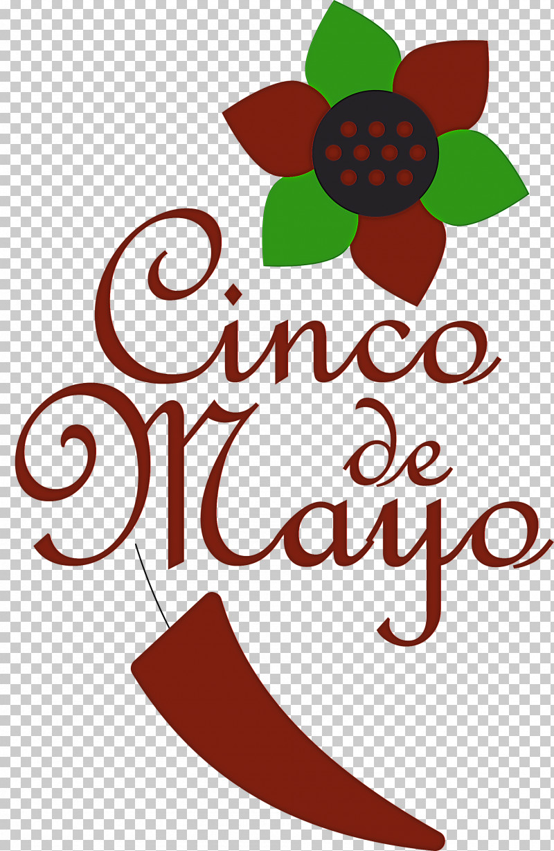 Cinco De Mayo Fifth Of May PNG, Clipart, Biology, Cinco De Mayo, Fifth Of May, Floral Design, Flower Free PNG Download