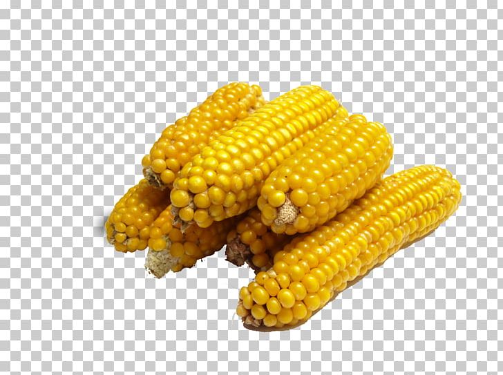 Corn On The Cob Maize Genetic Engineering Genetically Modified Food Caryopsis PNG, Clipart, Cartoon Corn, Caryopsis, Com, Corn, Food Free PNG Download