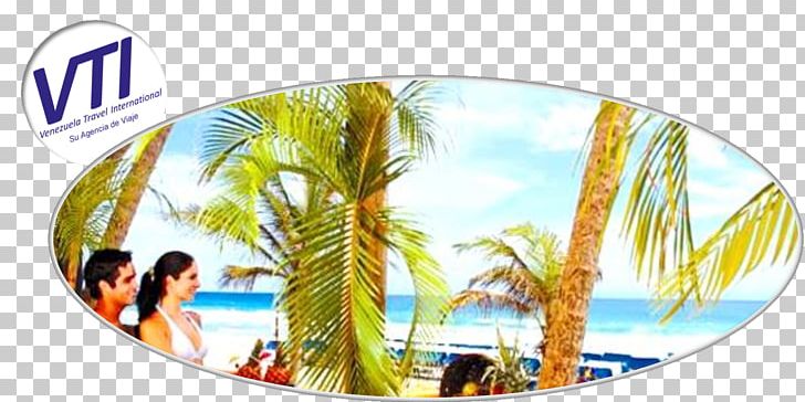 Hotel Hesperia Playa El Agua Playa El Yaque Beach PNG, Clipart, Beach, Cheap, Hotel, International Tourism, Island Free PNG Download