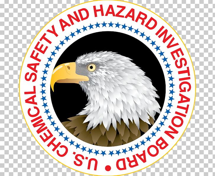 U.S. Chemical Safety And Hazard Investigation Board Washington PNG, Clipart, Area, Bald Eagle, Beak, Brand, Business Free PNG Download