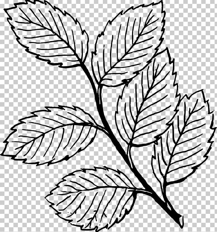 Leaf Computer Icons PNG, Clipart, Almon Leaf, Autumn Leaf Color, Black, Black And White, Botany Free PNG Download