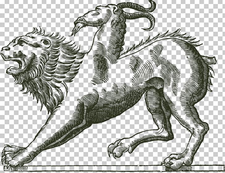 Monstrorum Historia The History Of Four-Footed Beasts And Serpents Cabinet Of Curiosities Monster PNG, Clipart, Big Cats, Black And White, Carnivoran, Cat Like Mammal, Dragon Free PNG Download