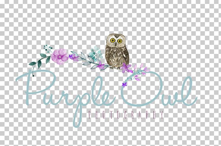 Purple Owl Photography Logo Brand Font PNG, Clipart, Animals, Arthur, Bird, Bird Of Prey, Brand Free PNG Download