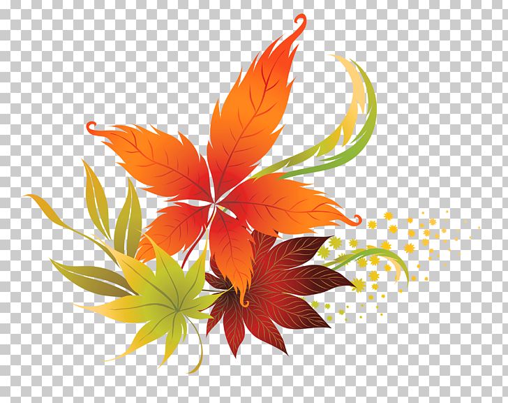 Autumn Leaf Color PNG, Clipart, Autumn, Autumn Leaf Color, Blog, Color, Drawing Free PNG Download