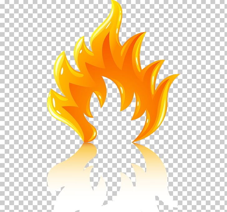 Fire Flame Combustion PNG, Clipart, Colored Fire, Computer Icons, Computer Wallpaper, Dance, Dance Party Free PNG Download