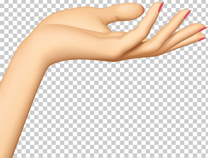 Hand PNG, Clipart, Arm, Beauty, Computer Icons, Finger, Hand Free PNG Download