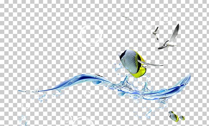 Prairie Steel Products Desktop Drinking Water Pressure Washers PNG, Clipart, Animaux, Aquarium, Beak, Bird, Cari Free PNG Download