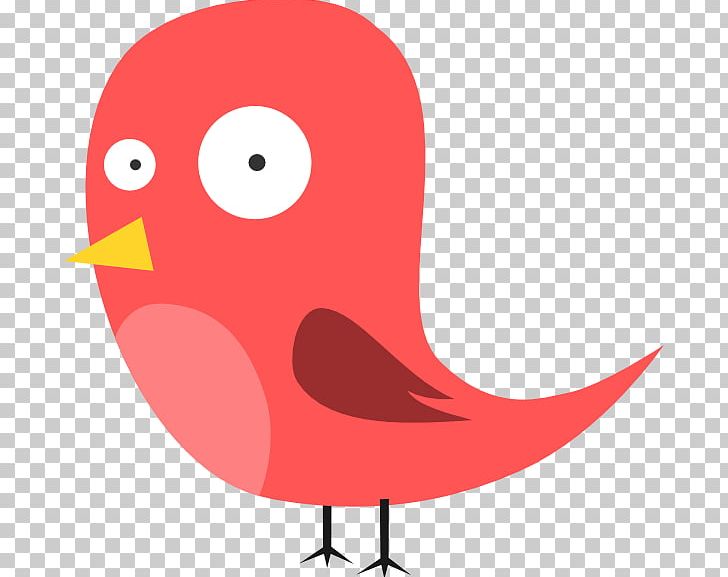 Bird Piracy PNG, Clipart, Animals, Artwork, Beak, Bird, Cartoon Free PNG Download