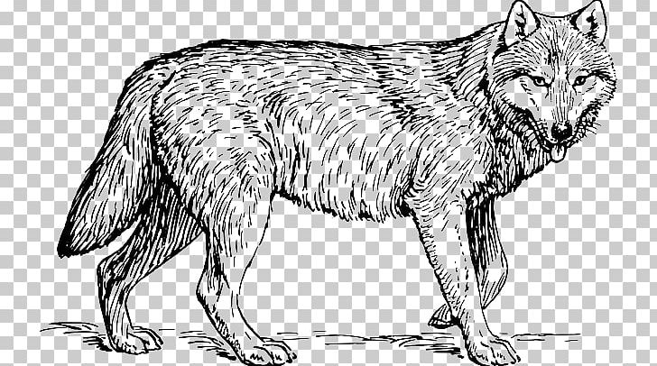 Coloring Book Puppy Dog Drawing Adult PNG, Clipart, Adult, Arctic Wolf, Artwork, Big Bad Wolf, Black And White Free PNG Download